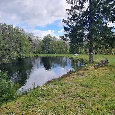 Chalet Au Coeur Des Bois La Salvetat-sur-Agout Esterno foto