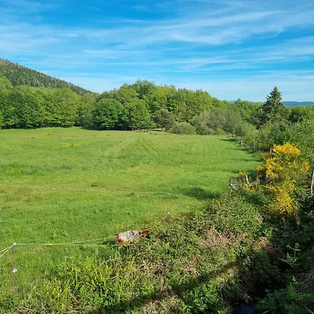 Chalet Au Coeur Des Bois La Salvetat-sur-Agout Esterno foto