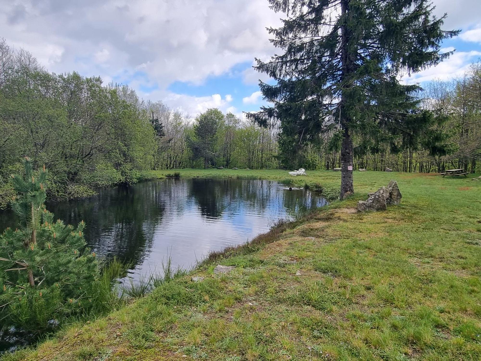 Au Coeur Des Bois * La Salvetat-sur-Agout