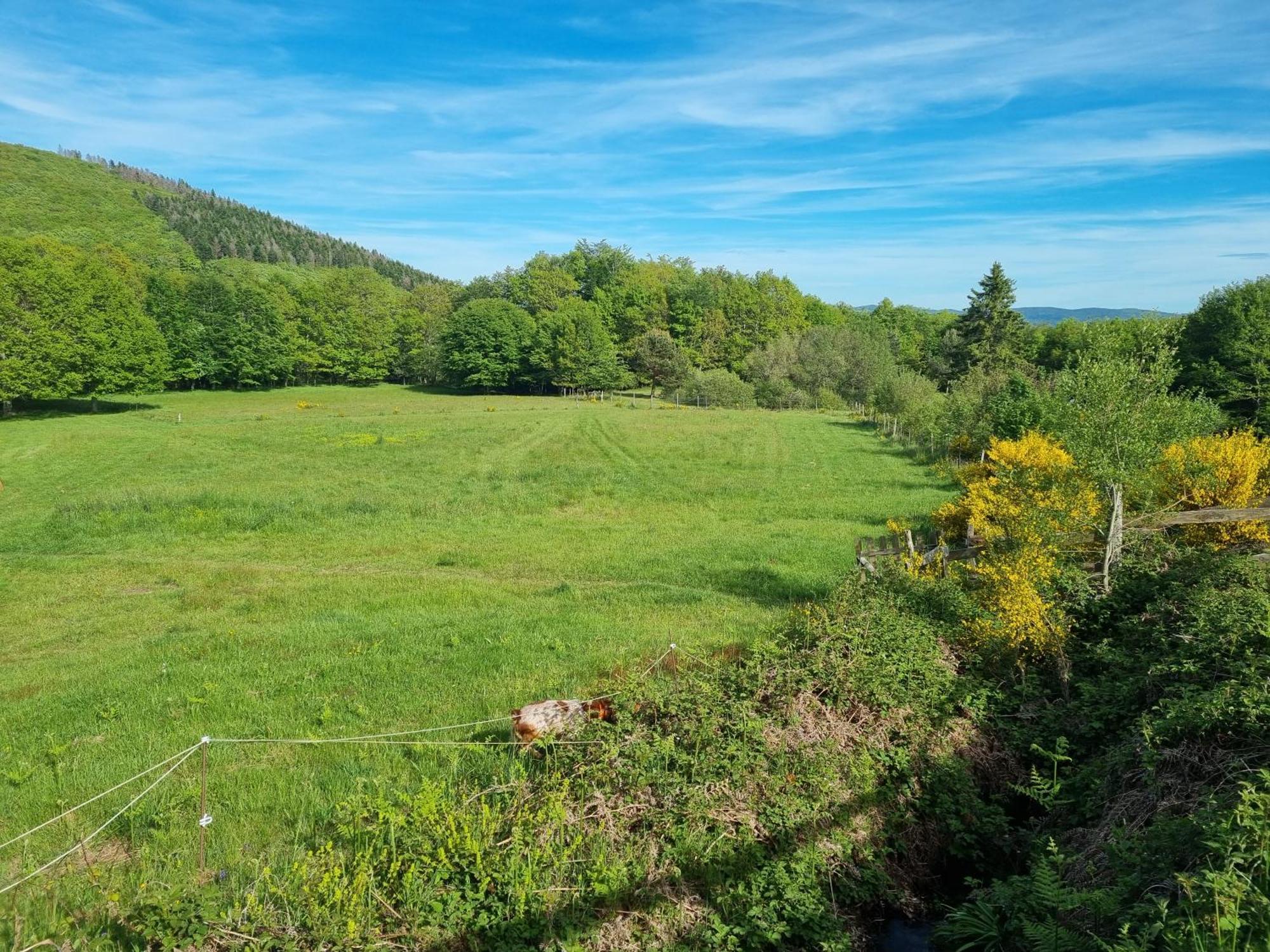 Au Coeur Des Bois * La Salvetat-sur-Agout